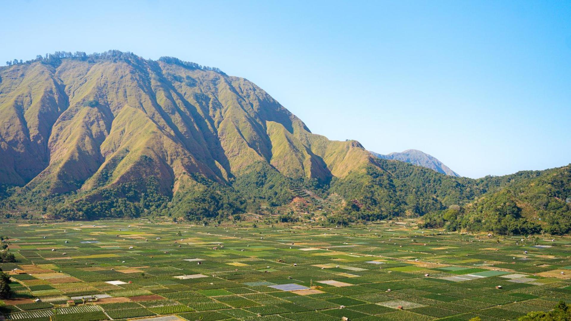 Bobocabin Gunung Rinjani, Lombok Sembalunlawang Luaran gambar